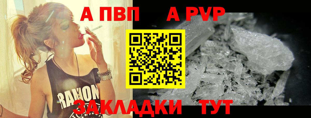 A PVP СК КРИС Гагарин